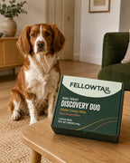 FELLOWTAIL Dog Treat Discovery Duo