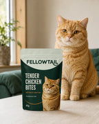 FELLOWTAIL Tender Chicken Bites